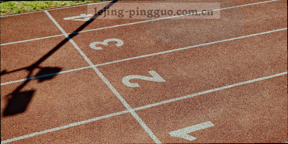 分层架构图，从数据源到应用层
